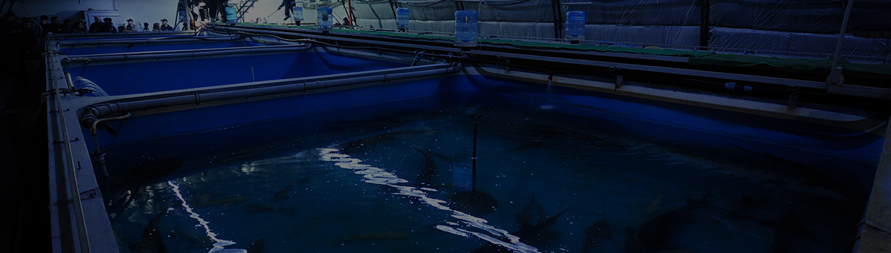 Sita A&C Engineering